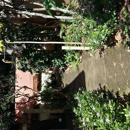 Pousada Terra Mar Morada Nova Luaran gambar